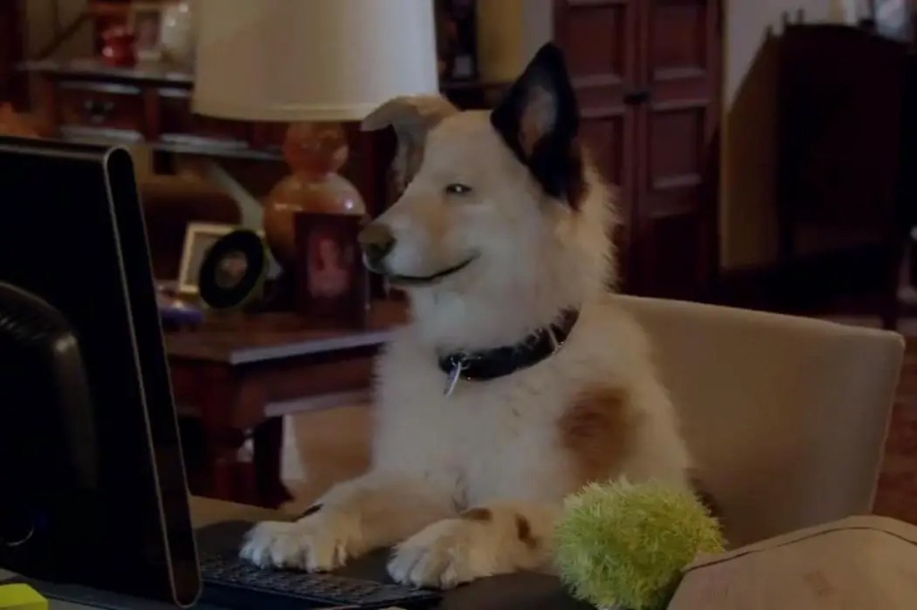 Blog 3/10: 🐶 dawg with a blawg&nbsp;🐶